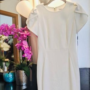 Calvin Klein Tulip Sleeve sheath dress